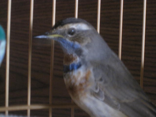 IMG_1866.JPG