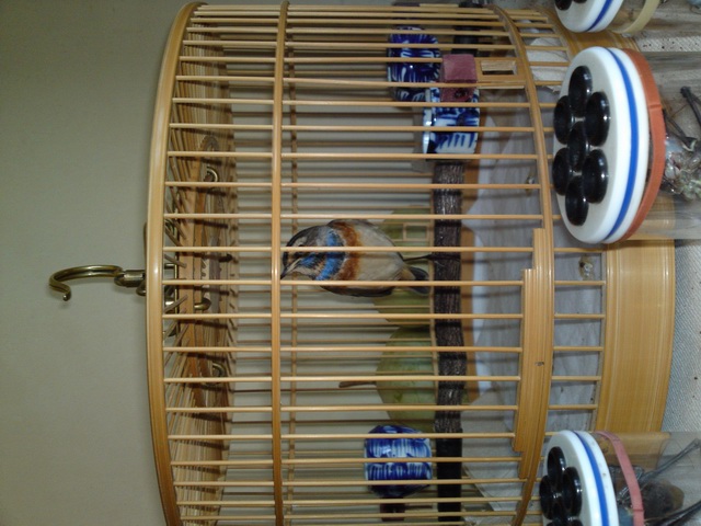 20111203936.JPG