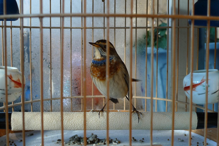 P1000897.JPG