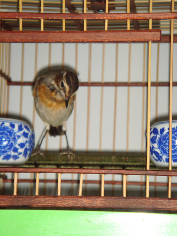 DSC04875.jpg