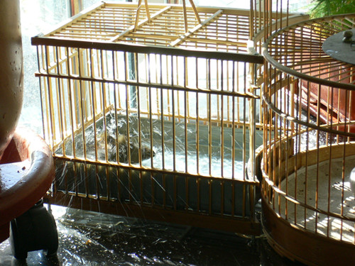 P1020655_副本.jpg