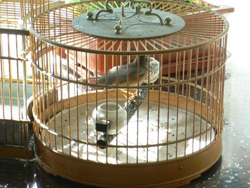 P1020656_副本.jpg