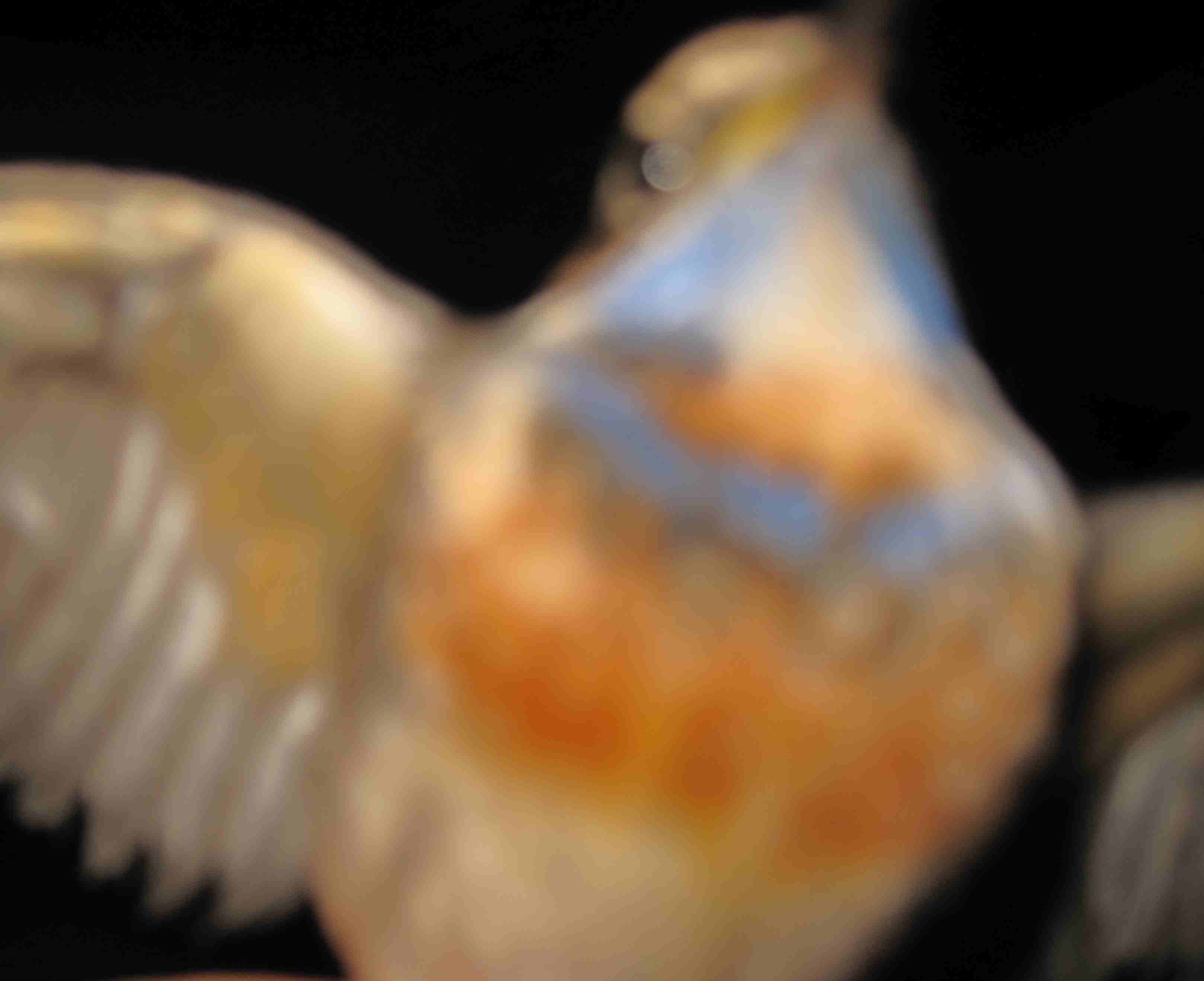 IMG_20042.jpg