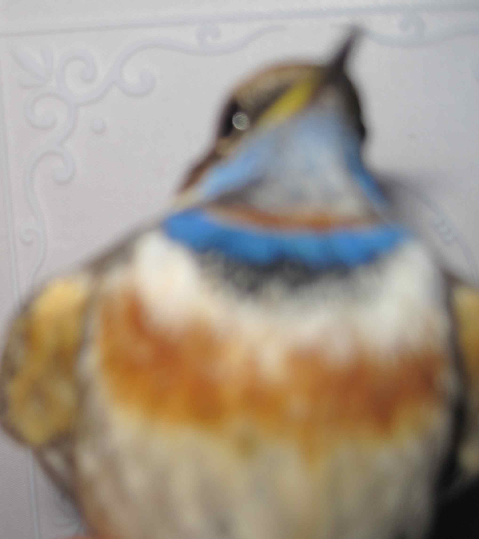IMG_19861.jpg