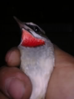 20111001079.jpg