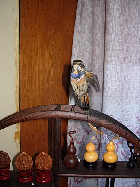 DSCN8419.JPG