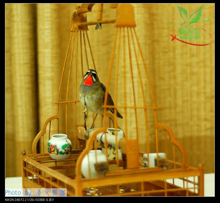 nEO_IMG_DSC_0062副本.jpg