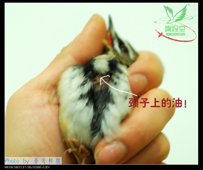 nEO_IMG_DSC_0064副本.jpg