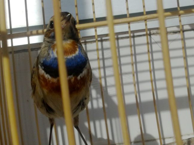 20111210483.jpg