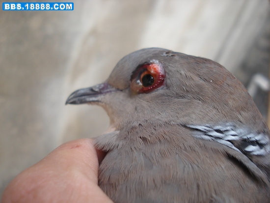DSC00131_调整大小.JPG