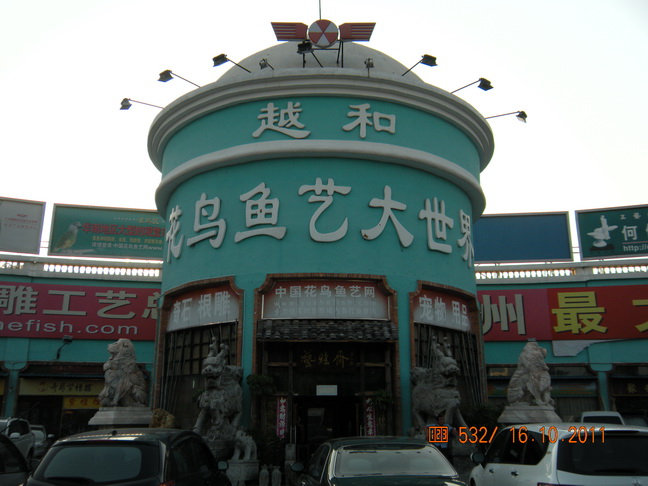 DSCN3005.jpg