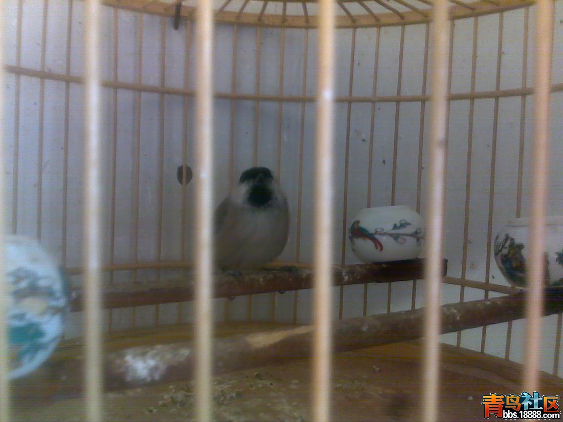 201112271266.jpg