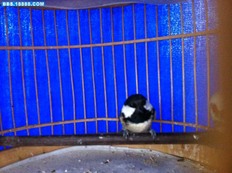 照片 440.jpg