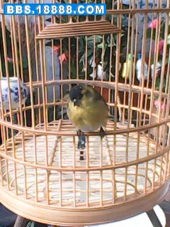 IMG_0004.JPG
