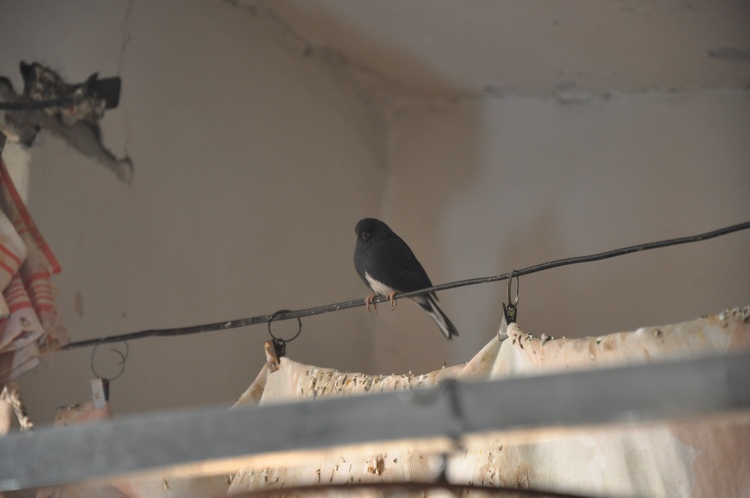 DSC_0483.jpg