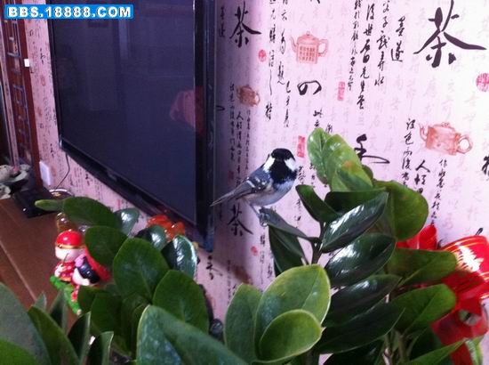 调整大小 IMG_0056.jpg