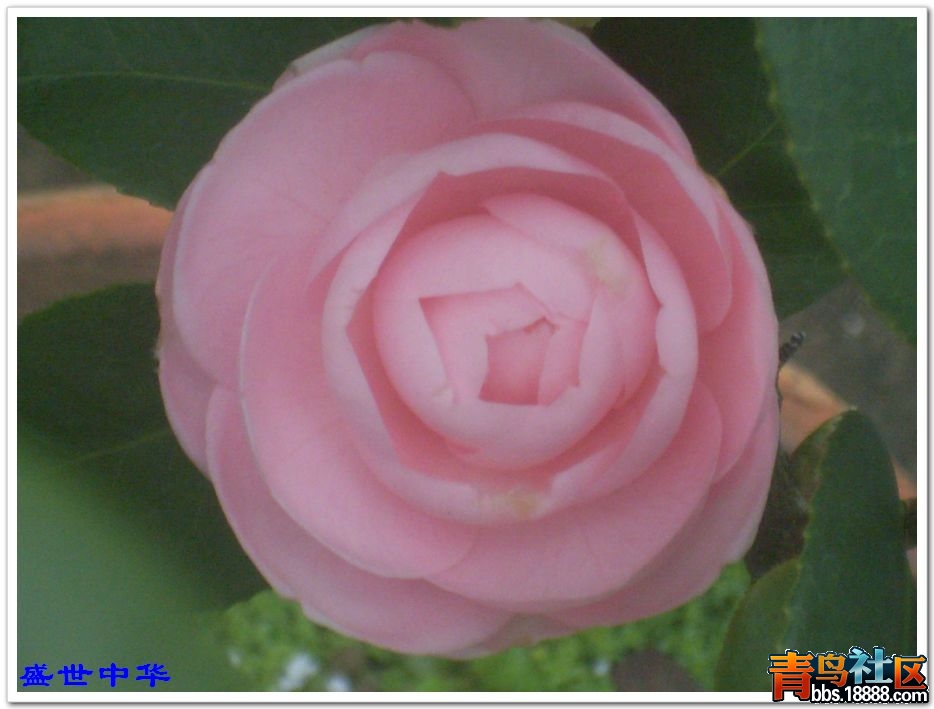 nEO_IMG_SL380213.jpg