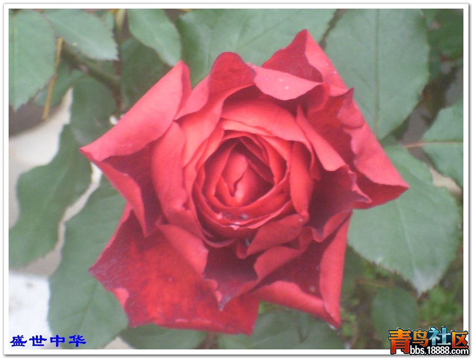 nEO_IMG_SL380210.jpg