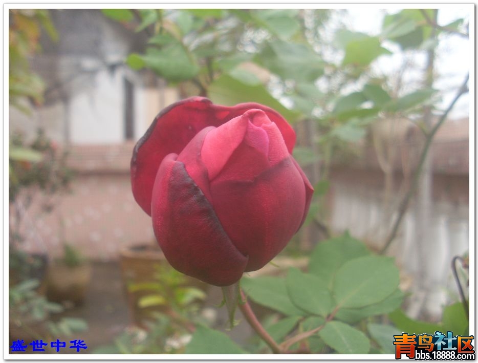 nEO_IMG_SL380216.jpg