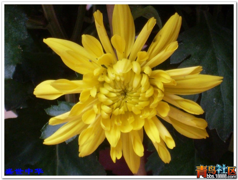 nEO_IMG_SL380267.jpg