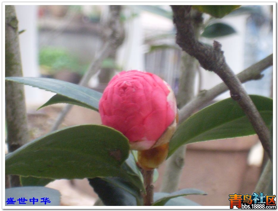 nEO_IMG_SL380224.jpg