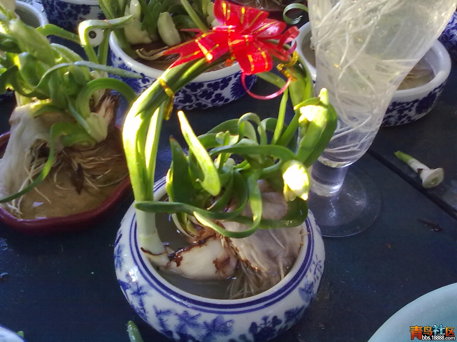 20120114481.jpg