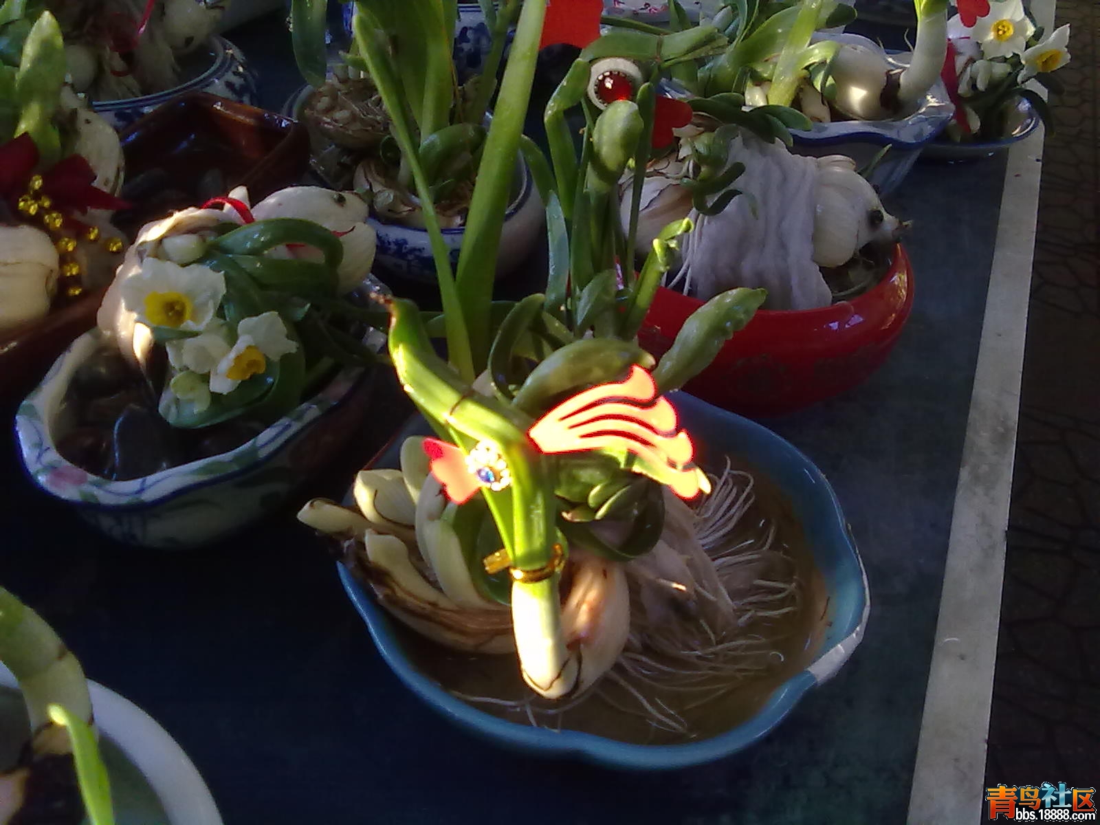 20120114476.jpg