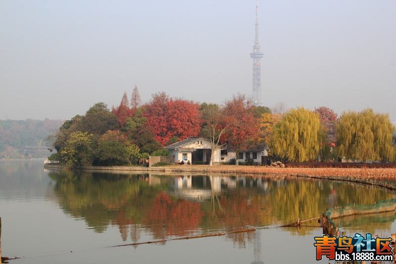 _MG_4131.JPG