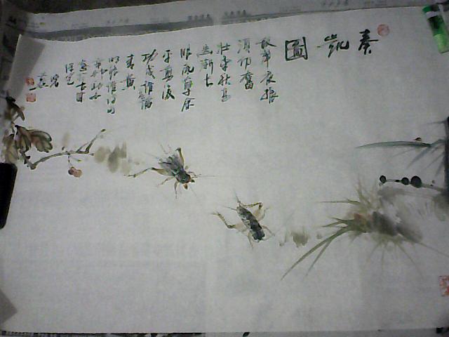 蟋蟀画2 004.jpg