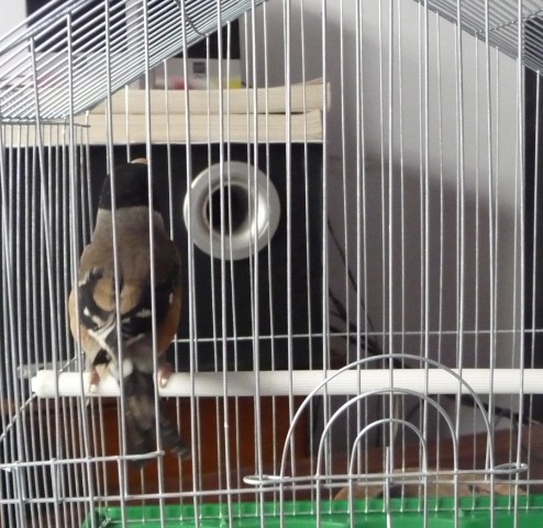 QQ截图20120104130520.jpg