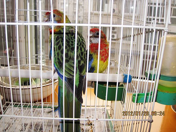 5ZREIK%FO]%$2Y[G{)13H]N.jpg