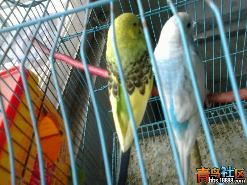 20120112280-001.jpg