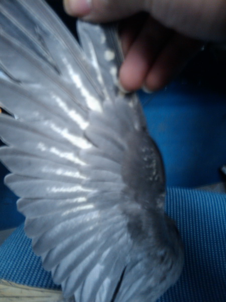 2012-01-01 12.24.24_调整大小.jpg
