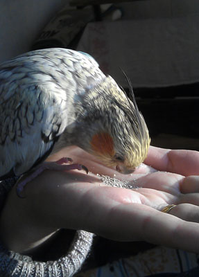 IMAG0264.jpg