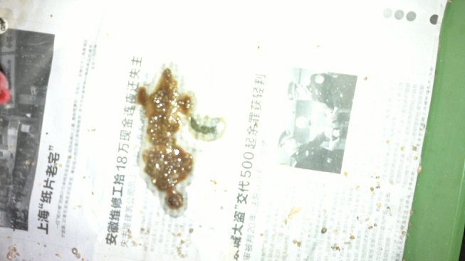 20120107052.jpg