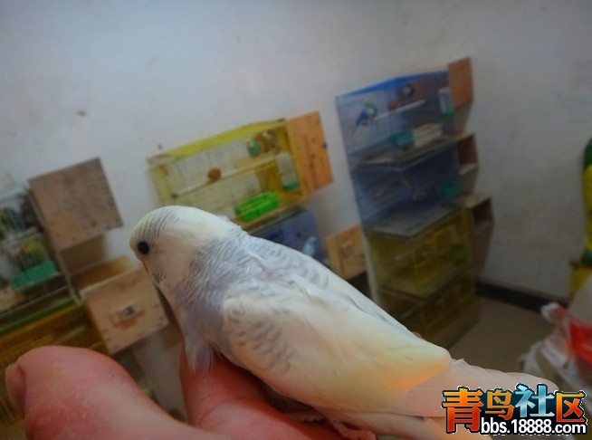 未命名1.jpg