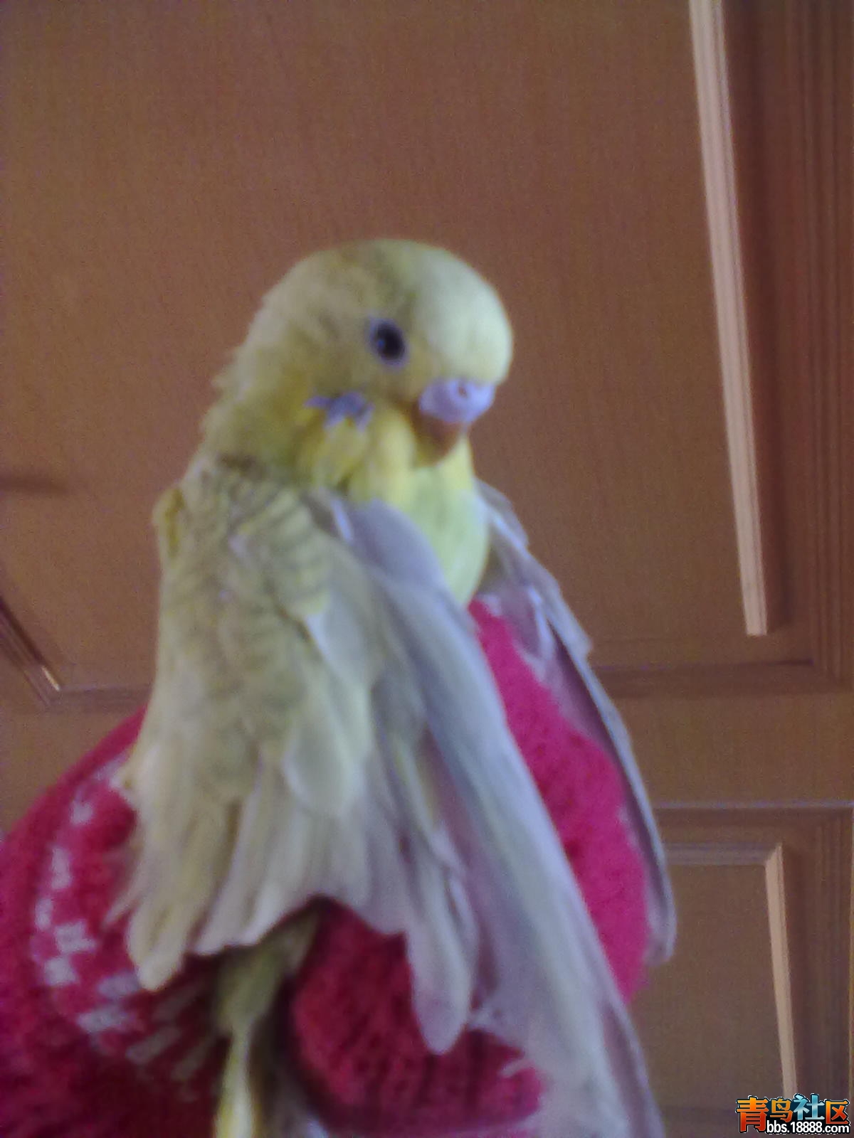 201201122752.jpg