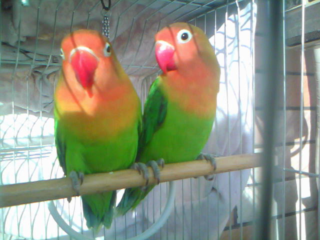 20120114A002.jpg