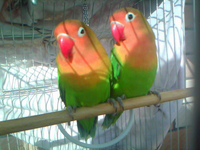 20120114A003.jpg