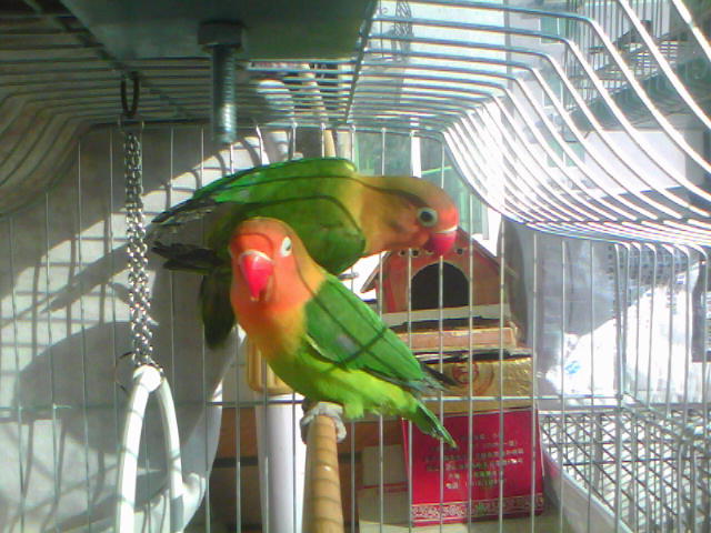 20120114B002.jpg