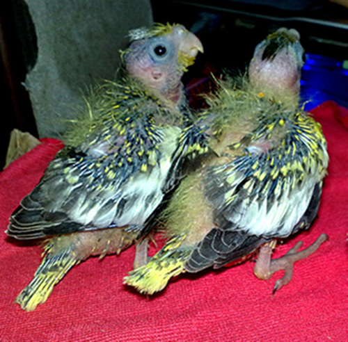 20120104661.jpg