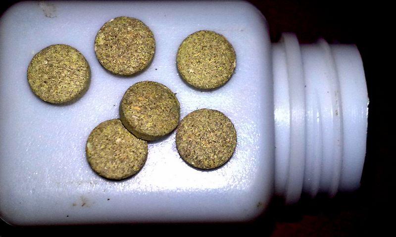 201108031109.jpg
