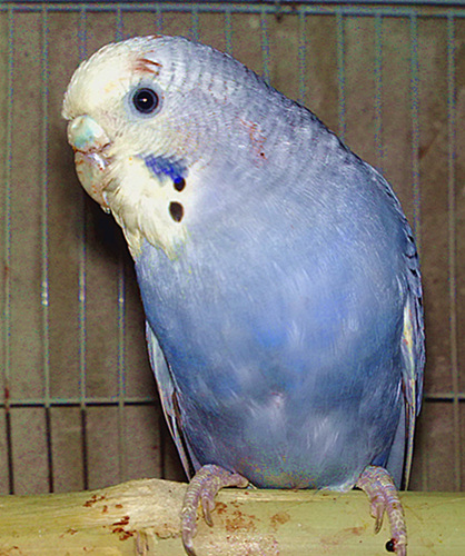 20120113816.jpg