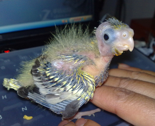 20120102646.jpg