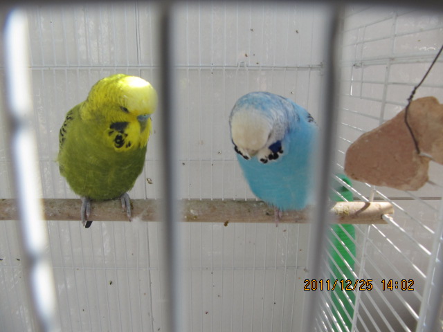IMG_3566.jpg