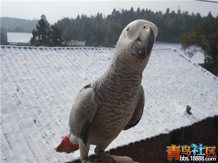 dsc04624_副本.jpg