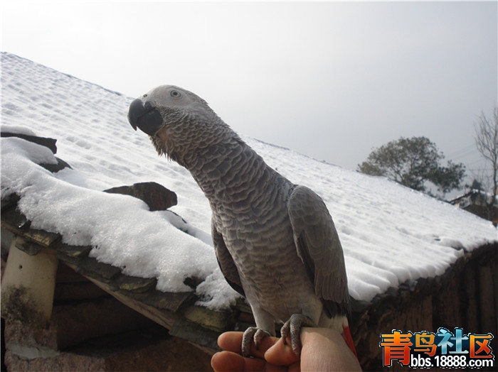 dsc04634_副本.jpg