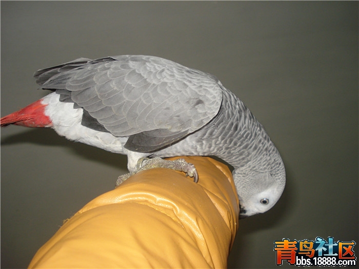 dsc04755_副本.jpg