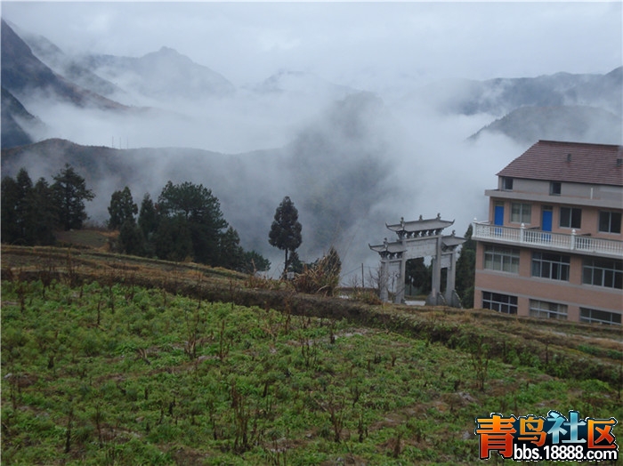 dsc04787_副本.jpg