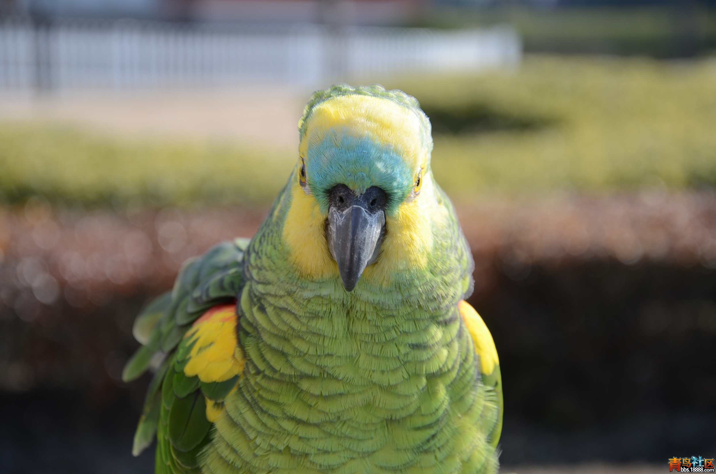 DSC_2733.jpg